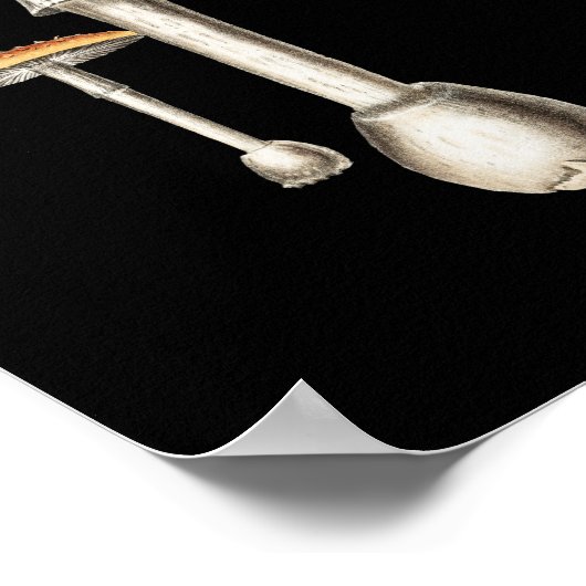 Amanita Muscaria paddenstoel Botanische Natuur Fun Poster (Hoek)