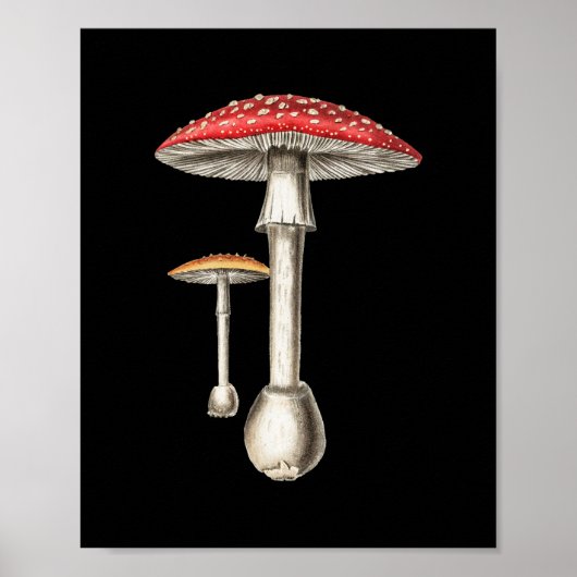 Amanita Muscaria paddenstoel Botanische Natuur Fun Poster (Voorkant)