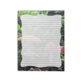 Amanita Muscaria-paddenstoelen - 11 x 8,5-inch lap Notitieblok