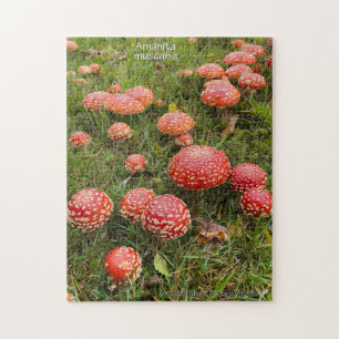 Amanita muscaria paddenstoelen - Jigsaw Puzzel