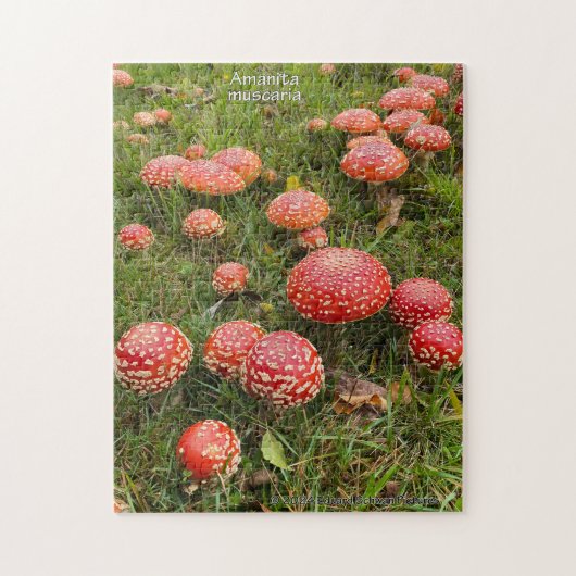 Amanita muscaria paddenstoelen - Jigsaw Puzzel (Verticaal)