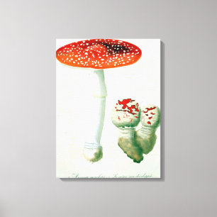 Amanita Muscaria uit 'Phytographie Medicale' door  Canvas Afdruk