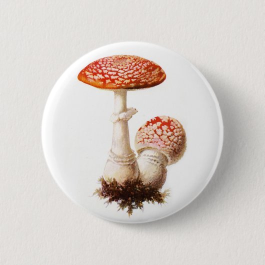 Amanita Mushroom Button (Voorkant)