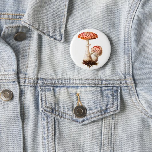 Amanita Mushroom Button (In situ)