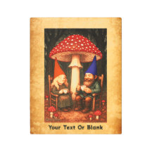 Amanita Mushroom en Gnomes