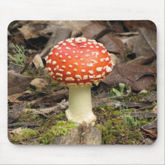 Amanita Mushroom Mousepad Muismat