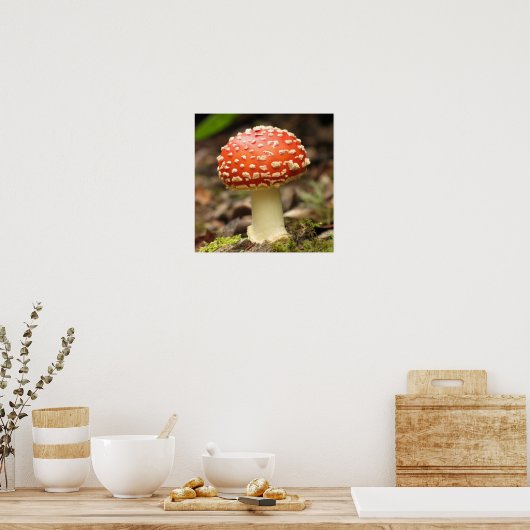 Amanita Mushroom Poster (Keuken)