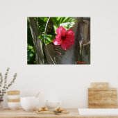 Amapola enamorada del palmar poster (Keuken)