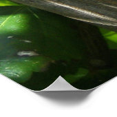 Amapola enamorada del palmar poster (Hoek)