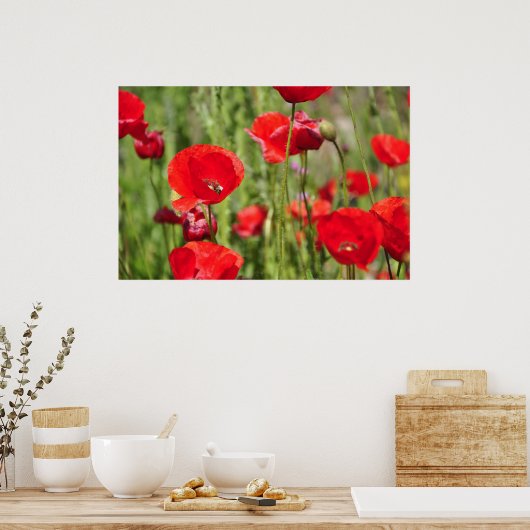 Amapolas Poster (Keuken)