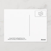 Amaretto Mango Martini Recept Briefkaart (Achterkant)