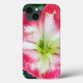 Amarilis roze wit kleur zachte bloem Case-Mate iPhone case (Achterkant)
