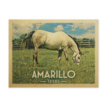 Amarillo Texas Horse Boerderij - Vintage Travel