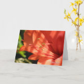 Amaryllis 01 Kaart (Gele Bloem)