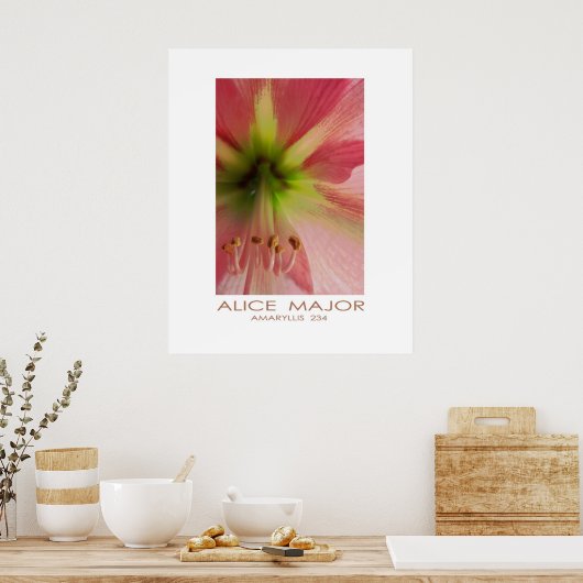 Amaryllis 234 poster (Keuken)