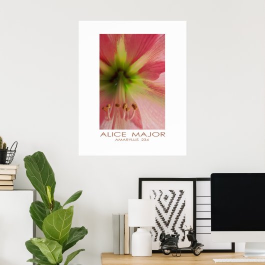 Amaryllis 234 poster (Thuiskantoor)