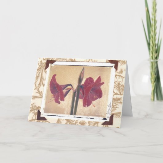 amaryllis_2 feestdagen kaart (Voorkant)