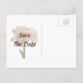 Amaryllis Aphrodite Save the Date Aankondigingskaart (Achterkant)