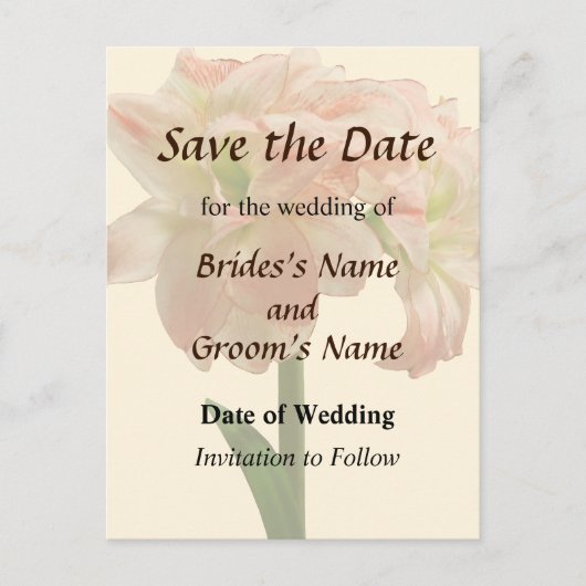 Amaryllis Aphrodite Save the Date Aankondigingskaart (Voorkant)