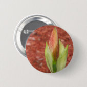 Amaryllis Appelbloesembloemknop Ronde Button 5,7 Cm (Voorkant /achterkant)