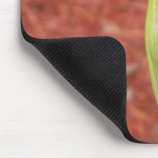 Amaryllis Apple Blossom flower buisje Muismat (Hoek)