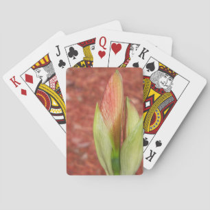 Amaryllis Apple Blossom flower buisje Speelkaarten