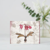 Amaryllis Belladonna Briefkaart (Staand voorkant)