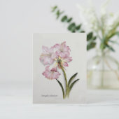 Amaryllis belladonna briefkaart (Staand voorkant)