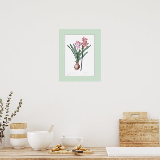 Amaryllis belladonna, Douane grens Poster (Keuken)