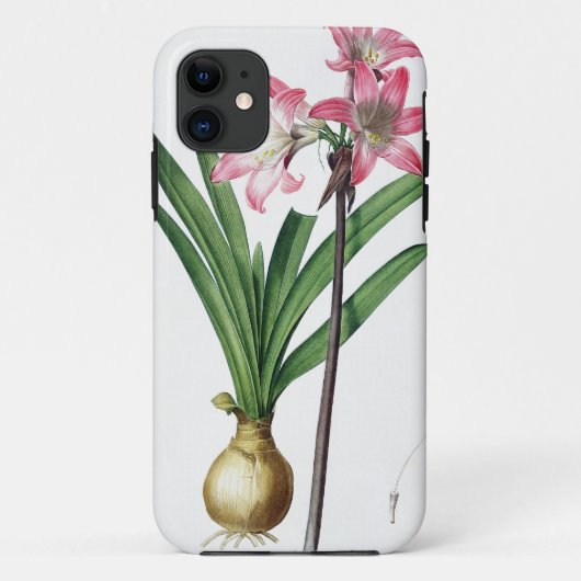 Amaryllis Belladonna, uit 'Les Liliacees', engrav Case-Mate iPhone Case (Achterkant)