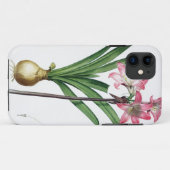 Amaryllis Belladonna, uit 'Les Liliacees', engrav Case-Mate iPhone Case (Achterkant (horizontaal))