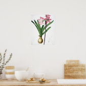 Amaryllis Belladonna, uit 'Les Liliacees', engrav Poster (Keuken)