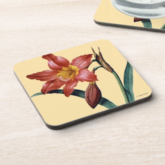 Amaryllis Bier Onderzetter (Linkerzijde)