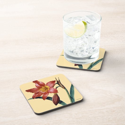 Amaryllis Bier Onderzetter (Rechterzijde)