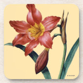 Amaryllis Bier Onderzetter (Voorkant)