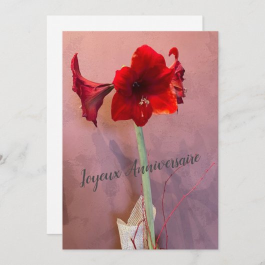 Amaryllis bloem (Voorkant / Achterkant)