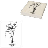 Amaryllis bloem lijn tekening kunst stempel (Gestempeld)