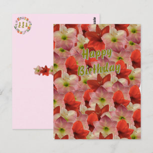 Amaryllis Bloem Verjaardagsansichtkaart Briefkaart