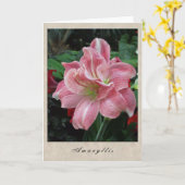 Amaryllis - BloemenReeks Kaart (Gele Bloem)