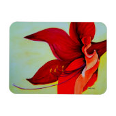 Amaryllis bloesemmagneet magneet (Horizontaal)