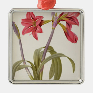 Amaryllis Brasiliensis Metalen Ornament