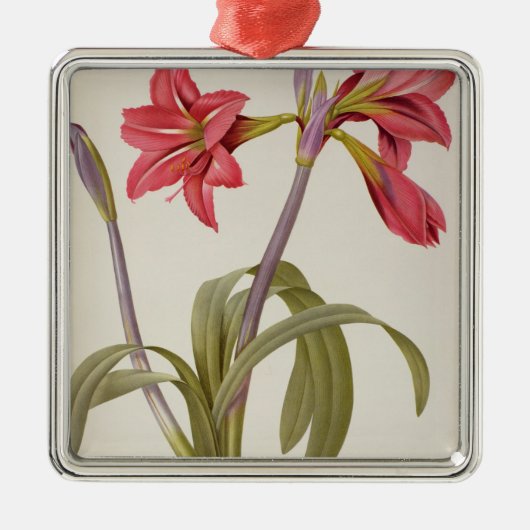 Amaryllis Brasiliensis Metalen Ornament (Voorkant)