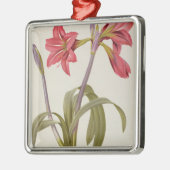 Amaryllis Brasiliensis Metalen Ornament (Links)