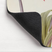 Amaryllis Brasiliensis Muismat (Hoek)