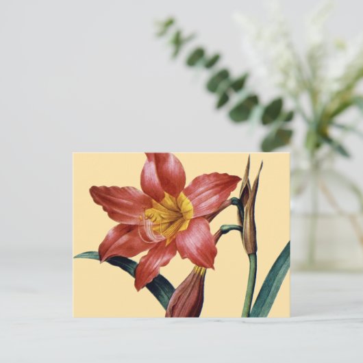 Amaryllis Briefkaart (Staand voorkant)