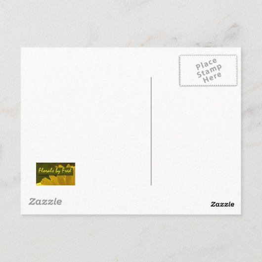 Amaryllis Briefkaart (Achterkant)