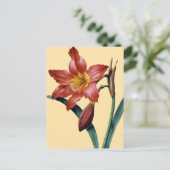 Amaryllis Briefkaart (Staand voorkant)