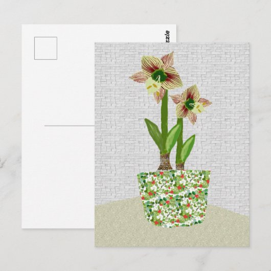 Amaryllis-Briefkaart Briefkaart (Voorkant / Achterkant)