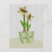 Amaryllis-Briefkaart Briefkaart (Voorkant)
