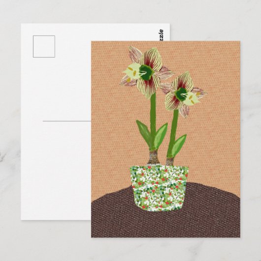 Amaryllis-Briefkaart Briefkaart (Voorkant / Achterkant)